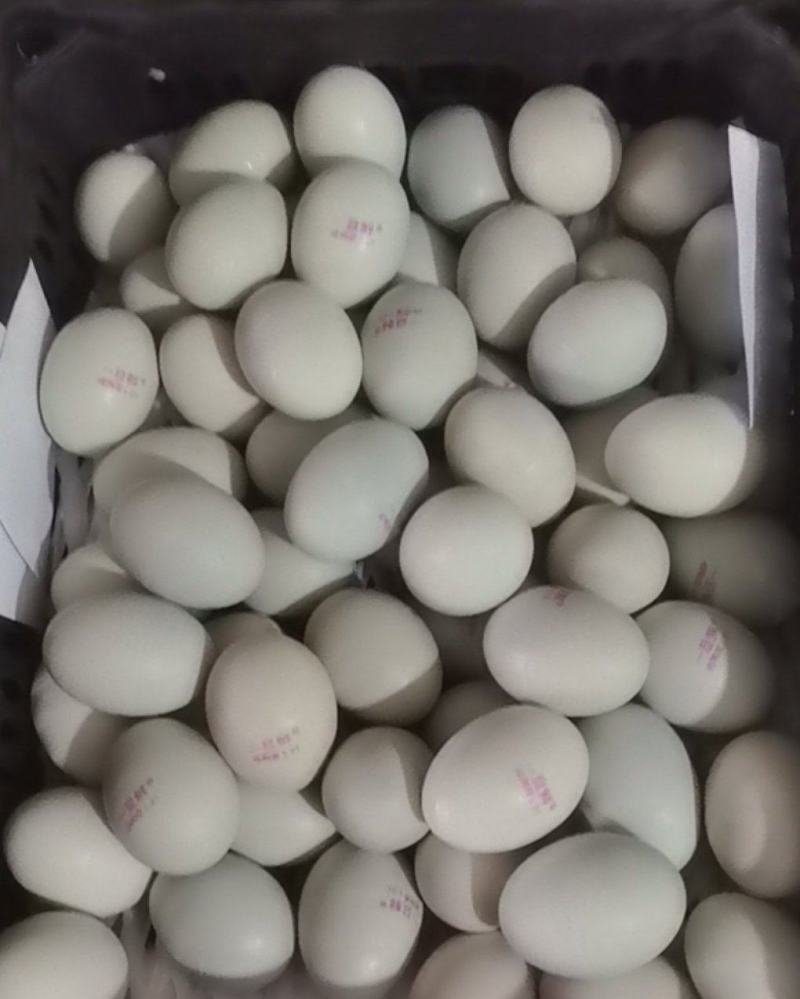 松花皮蛋，咸鸭蛋