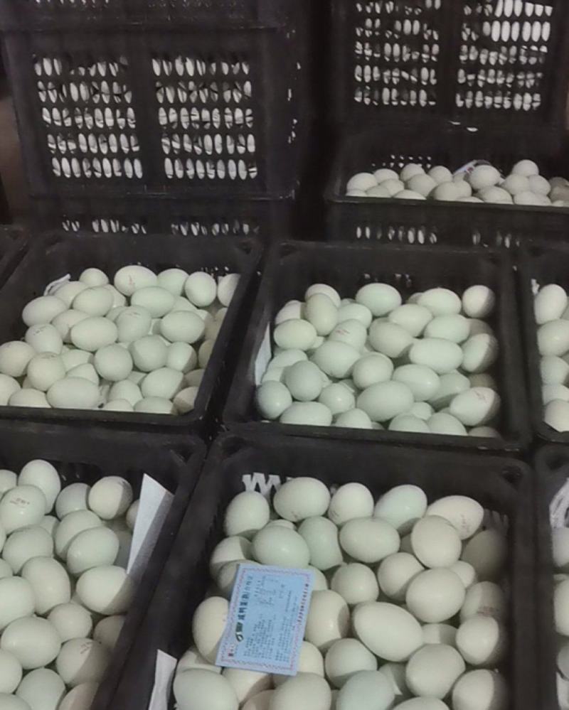 松花皮蛋，咸鸭蛋