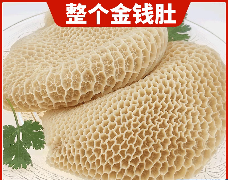 毛肚水发金钱肚冷冻蜂窝肚牛肚火锅冒菜凉拌菜等