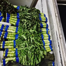 兰陵红尖叶莴笋大量有货青皮青肉，有需要的老板随时联系