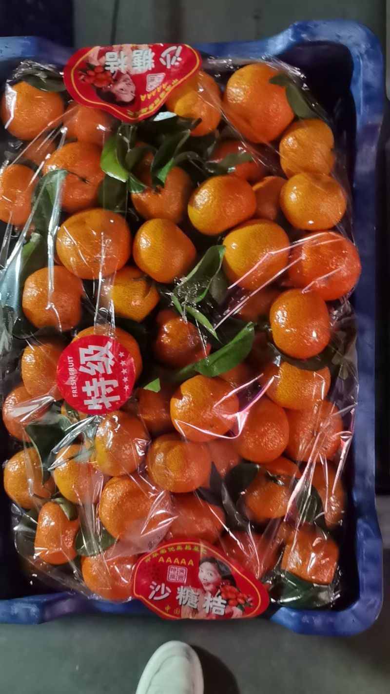正宗广西砂糖橘薄皮多汁清甜精品果新鲜上市量大从优
