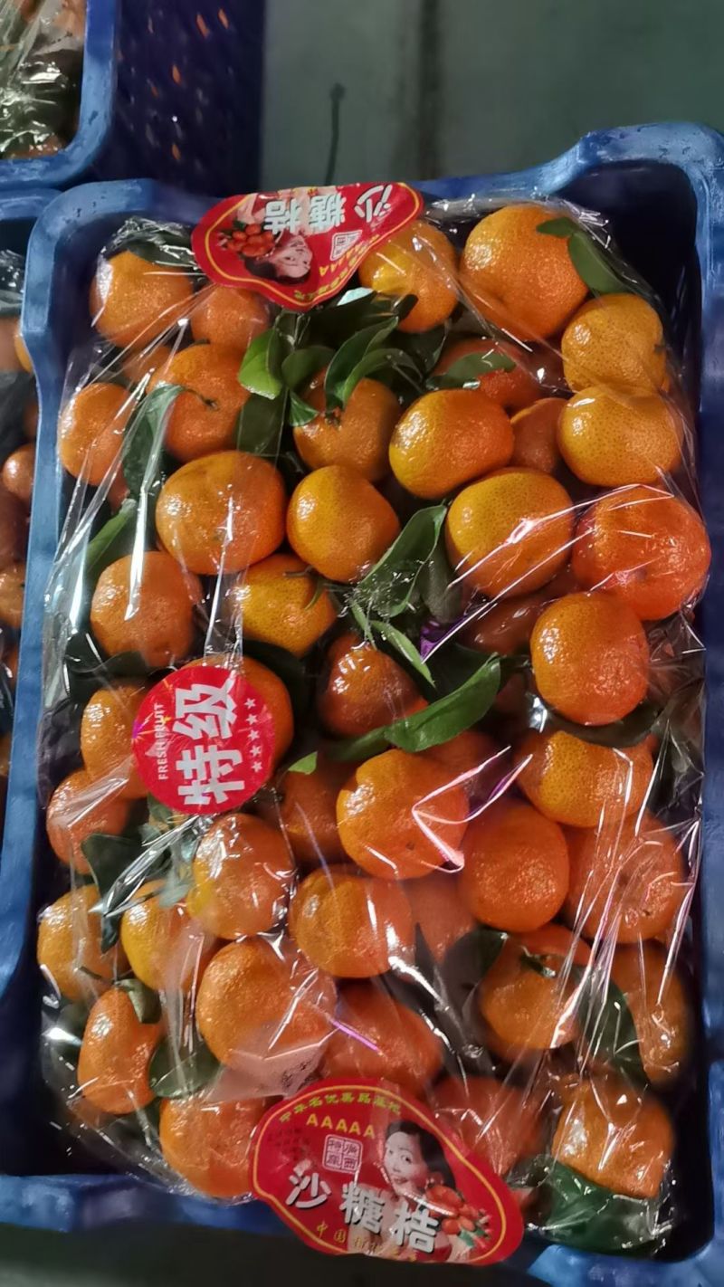 正宗广西砂糖橘薄皮多汁清甜精品果新鲜上市量大从优