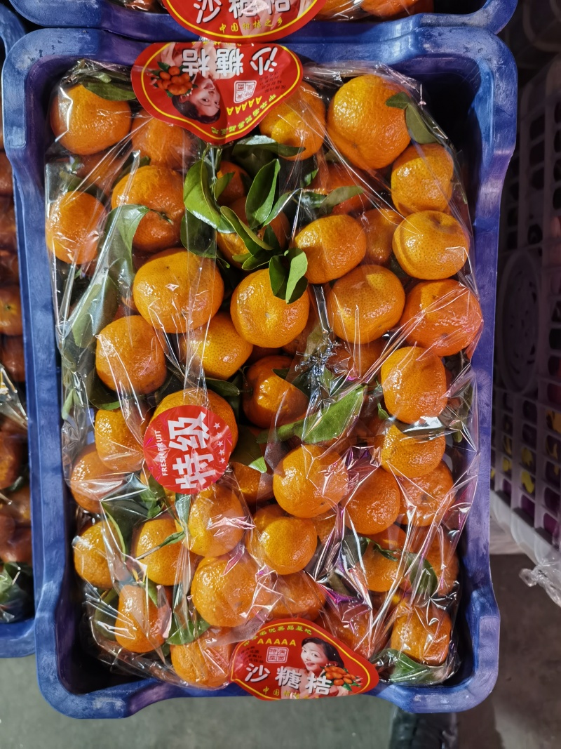 正宗广西砂糖橘薄皮多汁清甜精品果新鲜上市量大从优