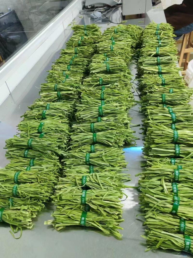 云南贡菜，量大价优，保质保量，产地直发，欢迎咨询