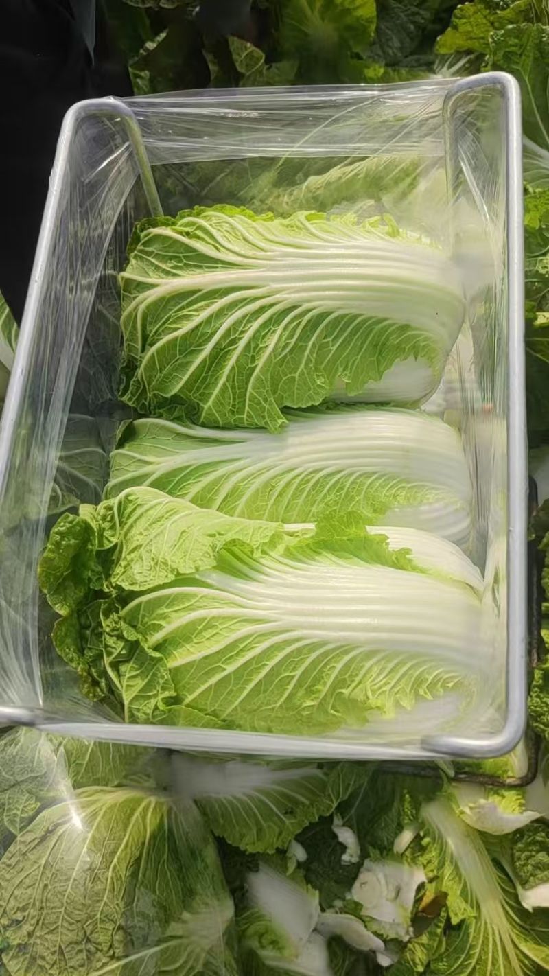 产地直供新鲜大白菜包心紧实一级货大量批发