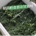 羽衣甘蓝精品叶泡沫箱装，全年有货，欢迎大量选购