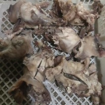 全熟牛筋，牛副筋，牛腩筋