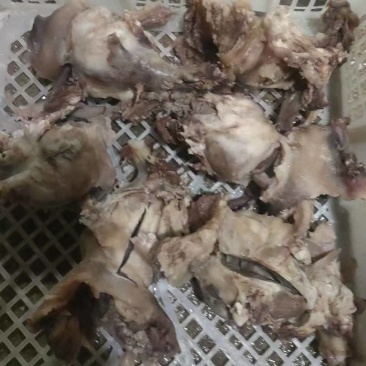 全熟牛筋，牛副筋，牛腩筋