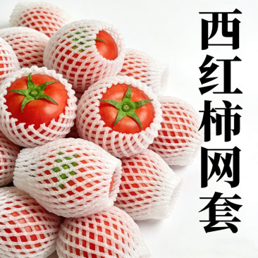西红柿网套
