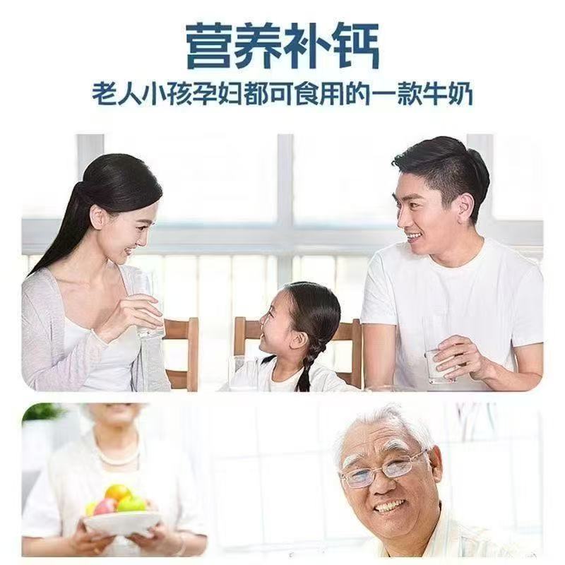 包邮）青海牛奶半斤纯牛奶儿童成人小牦牛牛奶纯生牛乳