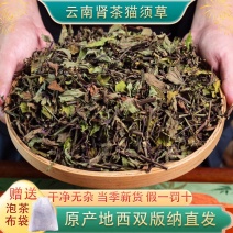 2025年云南西双版纳猫须草中药材野生猫须草