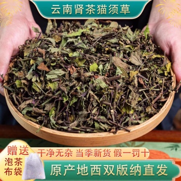 2025年云南西双版纳猫须草中药材野生猫须草