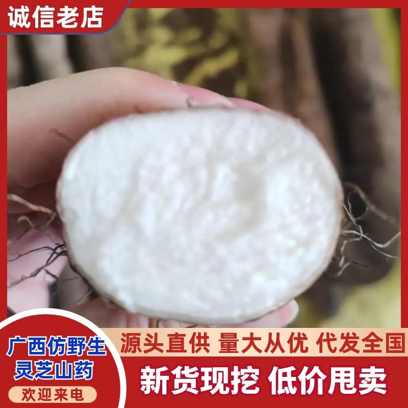 淮山药野生灵芝山药产地直销量大从优可视频看货对接全国