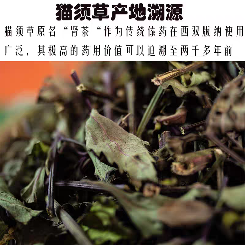 2025年云南西双版纳猫须草中药材野生猫须草