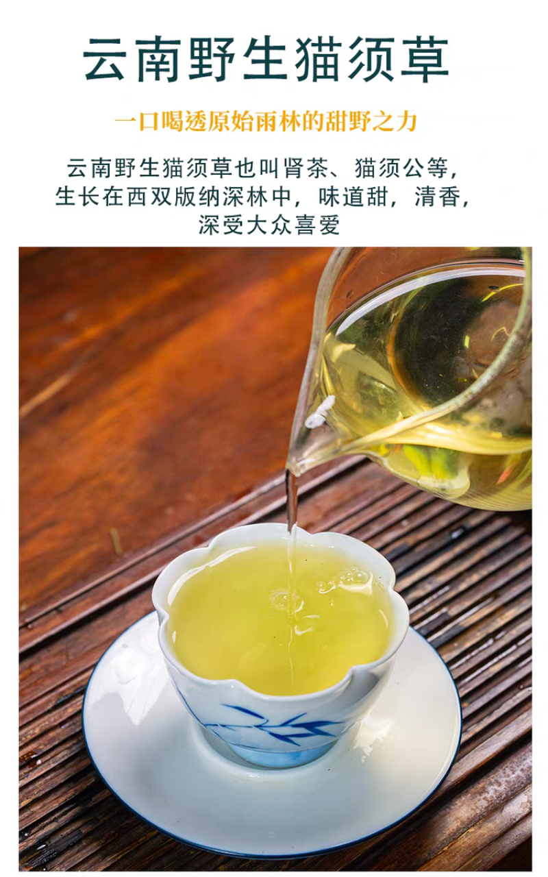 2025年云南西双版纳猫须草中药材野生猫须草