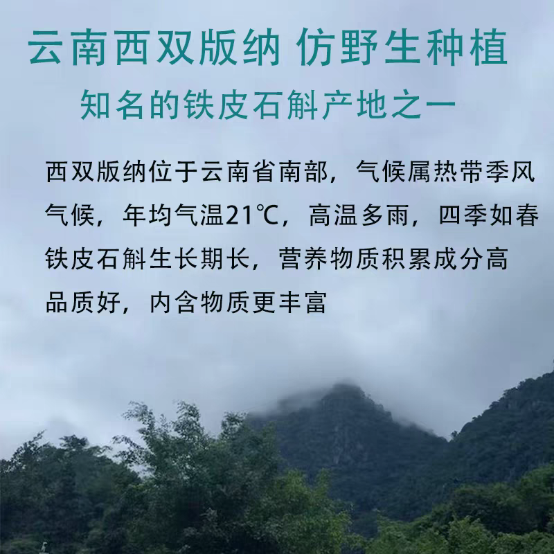 包邮）买1斤送半斤云南铁皮石斛干条中药材西双版纳产