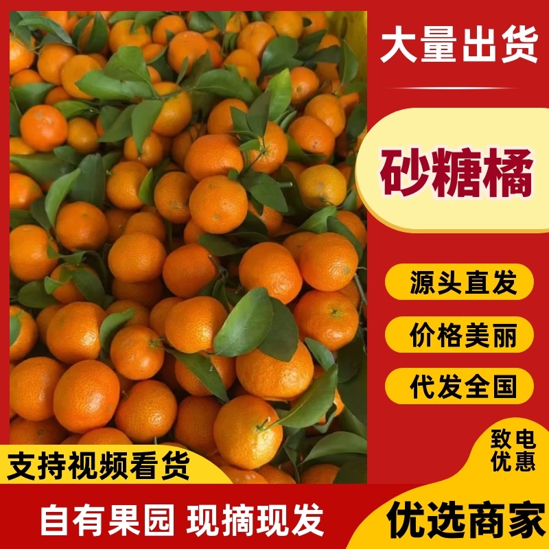 广西桂林荔浦精品砂糖橘大量上市口感纯甜一手货源