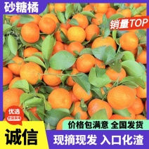 【精品砂糖橘】砂糖橘广西桂林产地大量上市口感纯甜保质保量电联