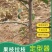 果树压枝神器拉枝器型拉枝定型器侧枝定型园林枝条花卉