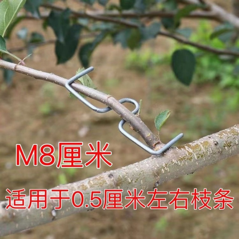 果树压枝神器拉枝器型拉枝定型器侧枝定型园林枝条花卉