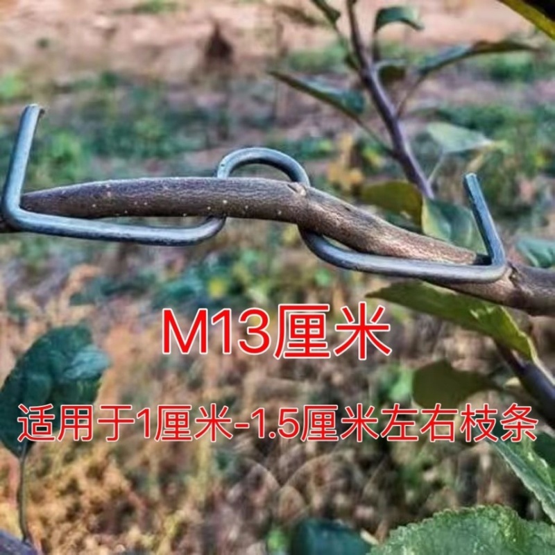 果树压枝神器拉枝器型拉枝定型器侧枝定型园林枝条花卉