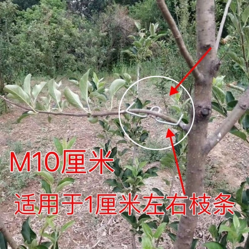 果树压枝神器拉枝器型拉枝定型器侧枝定型园林枝条花卉