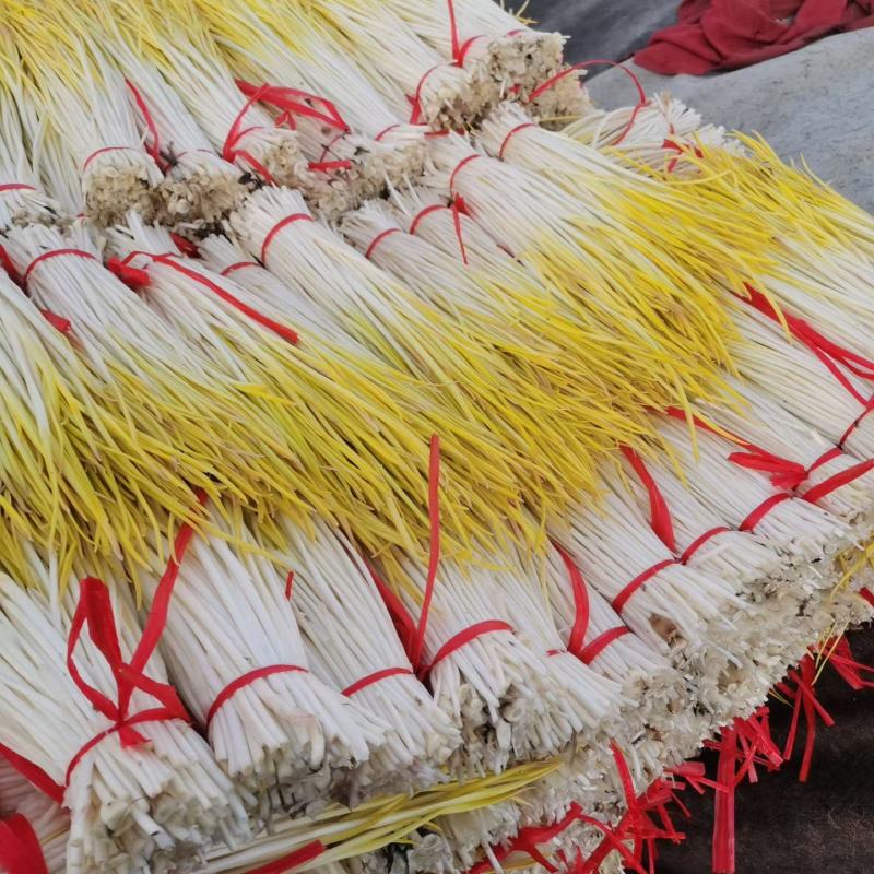 大掉价，产地蒜黄大量上市，精品两块，通货一块五