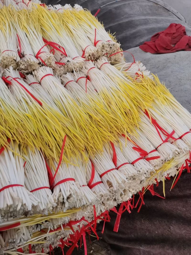 大掉价，产地蒜黄大量上市，精品两块，通货一块五