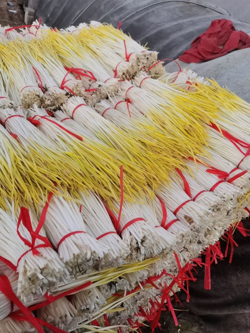 大掉价，产地蒜黄大量上市，精品两块，通货一块五