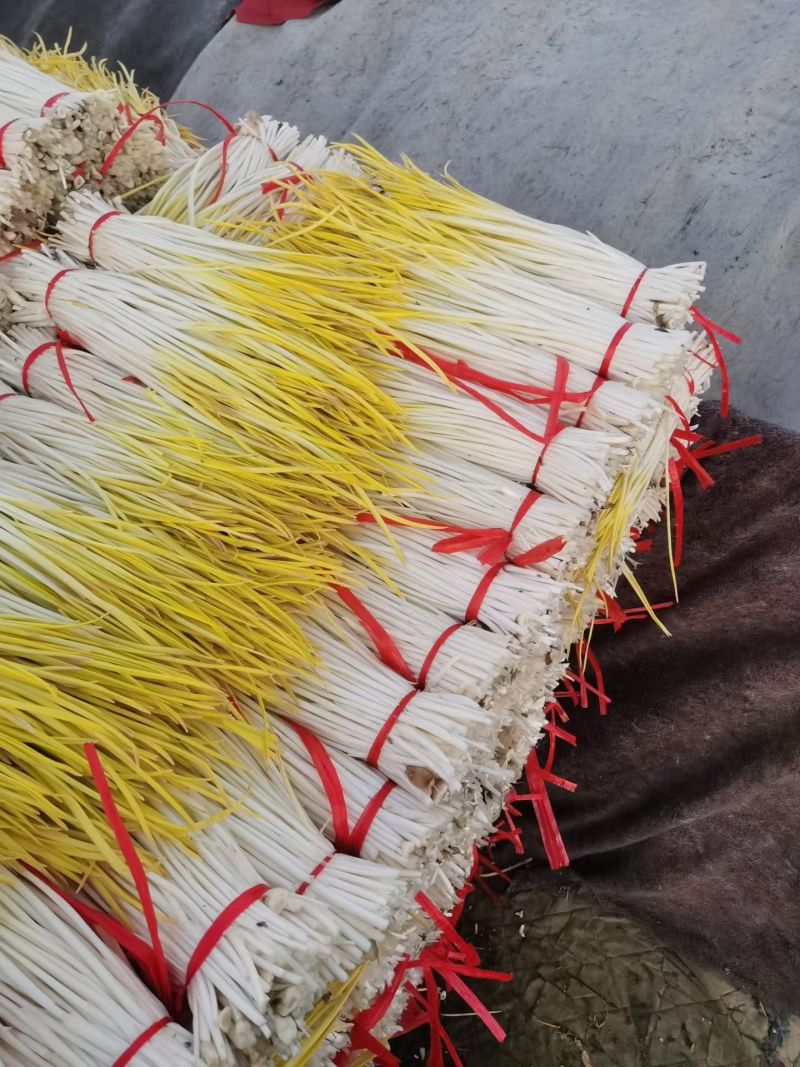 大掉价，产地蒜黄大量上市，精品两块，通货一块五