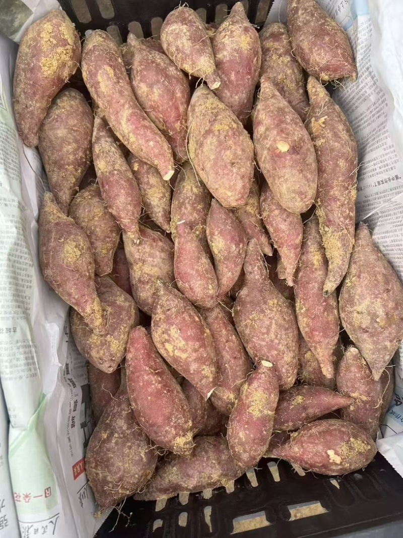 榴莲蜜薯新品上市现挖现发口感好软糯香甜