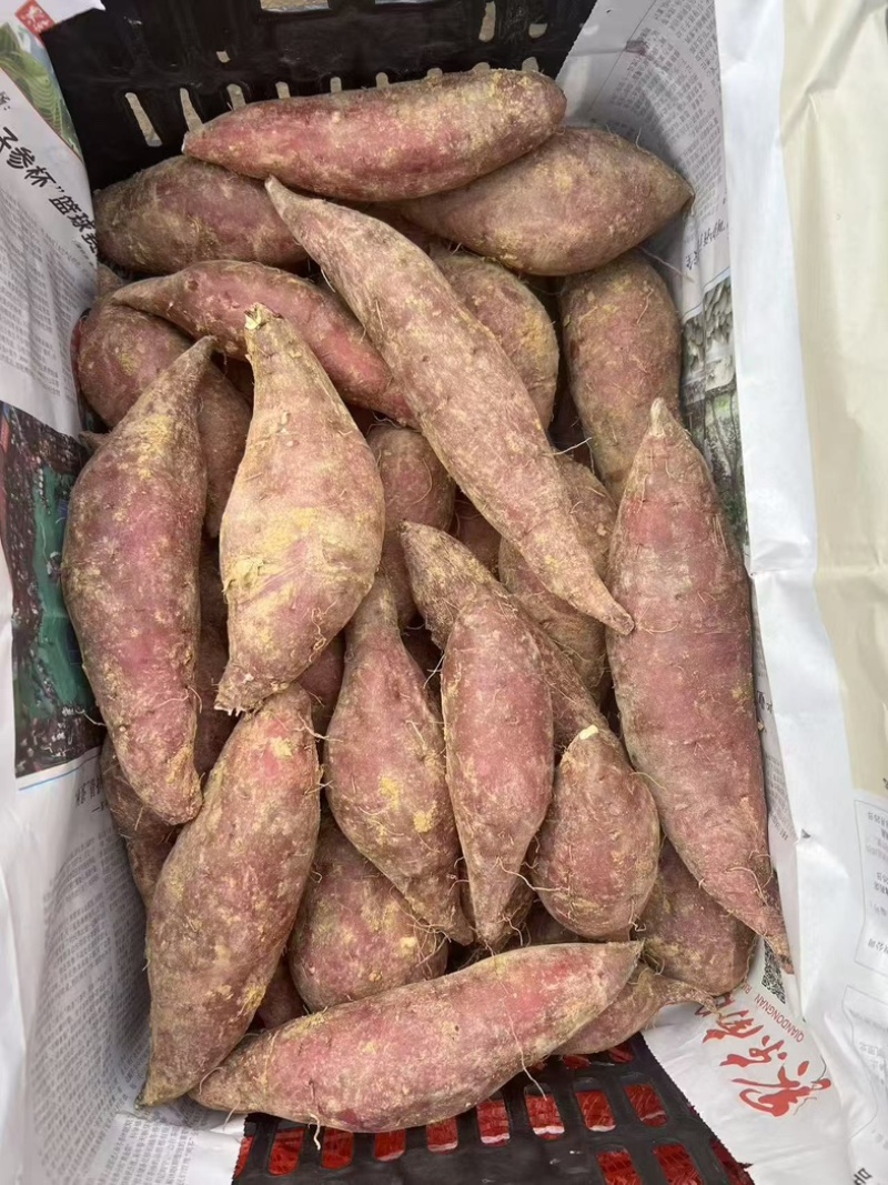 榴莲蜜薯新品上市现挖现发口感好软糯香甜