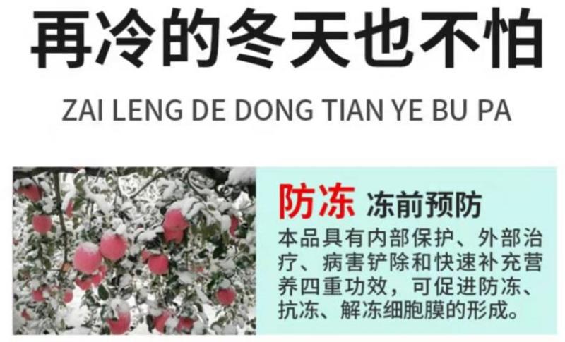 贝乐康磁化抗冻剂抗寒防冻肥预防冻害低温促长冻后修复氨基酸