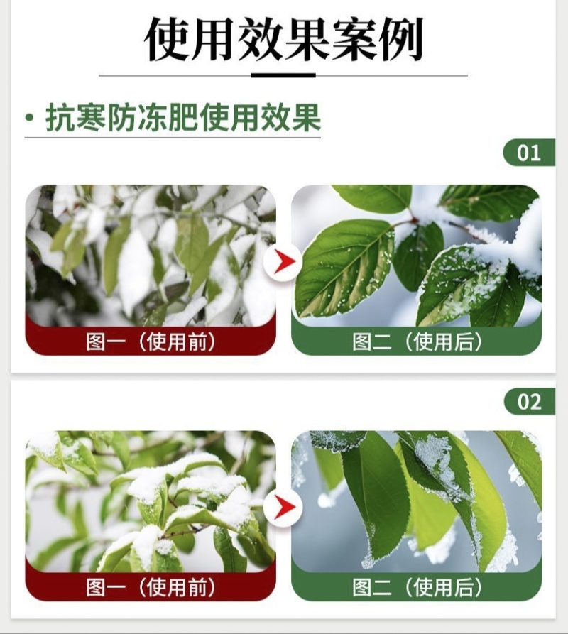 贝乐康磁化抗冻剂抗寒防冻肥预防冻害低温促长冻后修复氨基酸