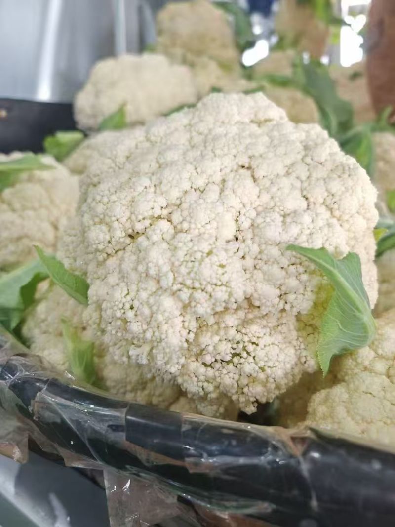 花菜大量出货
