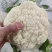 花菜大量出货