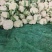 花菜大量出货