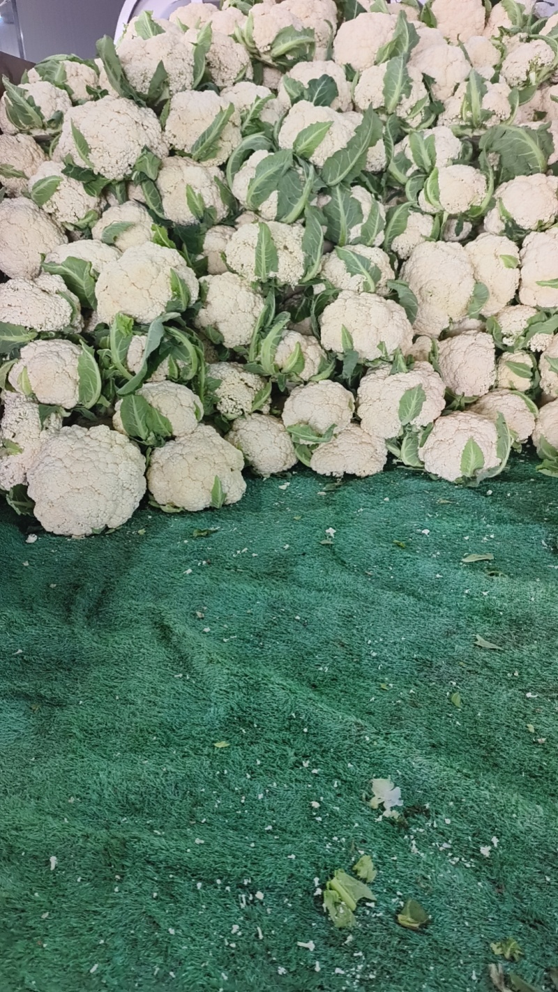 花菜大量出货
