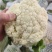 花菜大量出货