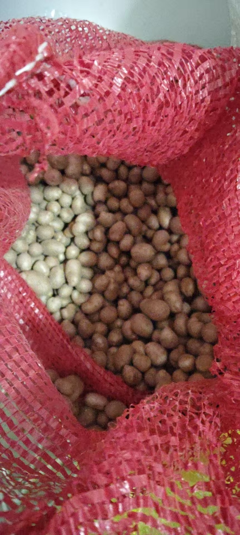 白玉山药豆大量有货基地直供品质优新鲜可视频看货热卖中