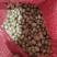 白玉山药豆大量有货基地直供品质优新鲜可视频看货热卖中