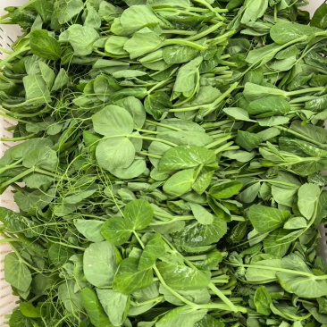 精品豌豆尖，一叶一心