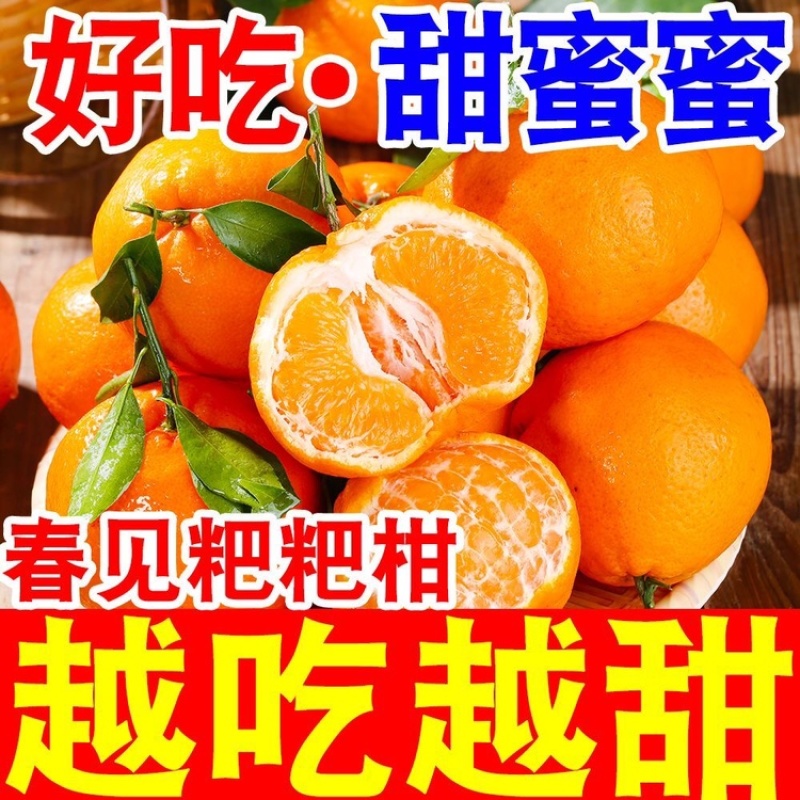 春见耙耙柑～丑橘～不知火～黄果柑～电商平台对接一件代发