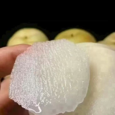 黄金梨，价格随行就市
