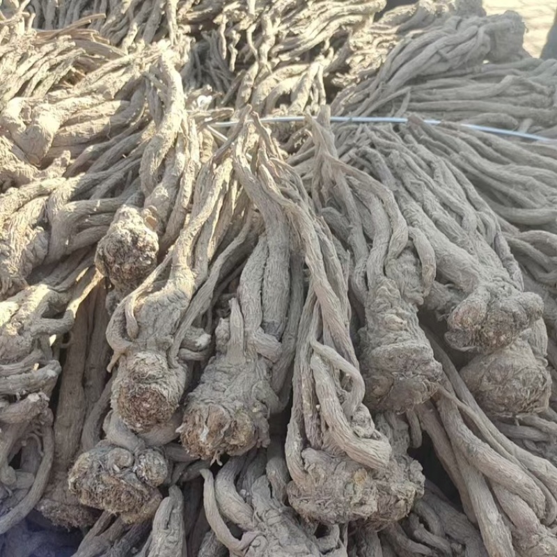 当归精品品质保证服务周到产地直发价格美丽