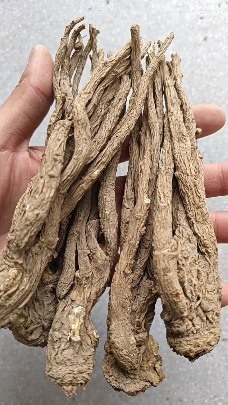 当归精品品质保证服务周到产地直发价格美丽