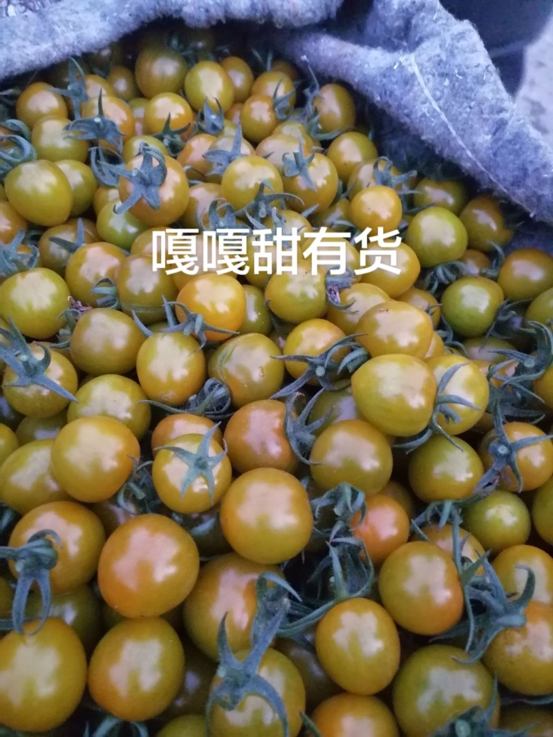 唐伯虎对接供应超市电商，批发市场