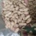 精品天赋三干花生大量上市量大从优欢迎采购