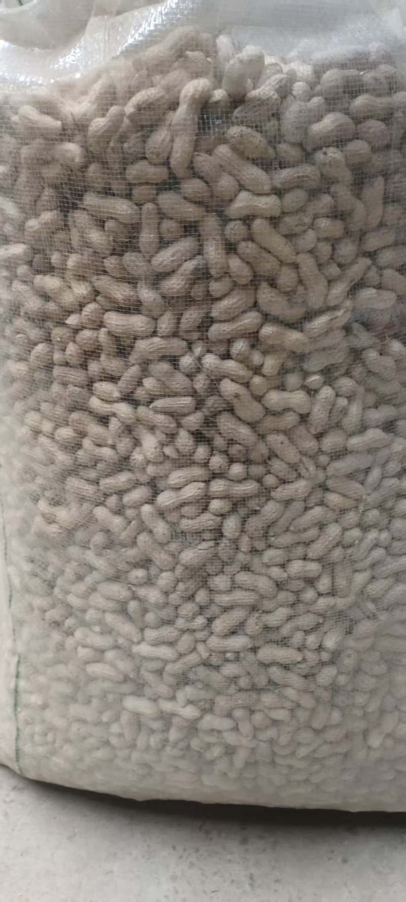 精品天赋三干花生大量上市量大从优欢迎采购