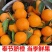 正宗奉节脐橙产地直发支持零售批发货源充足，新鲜发货